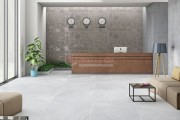 Gạch Ốp Lát APODIO 66112302